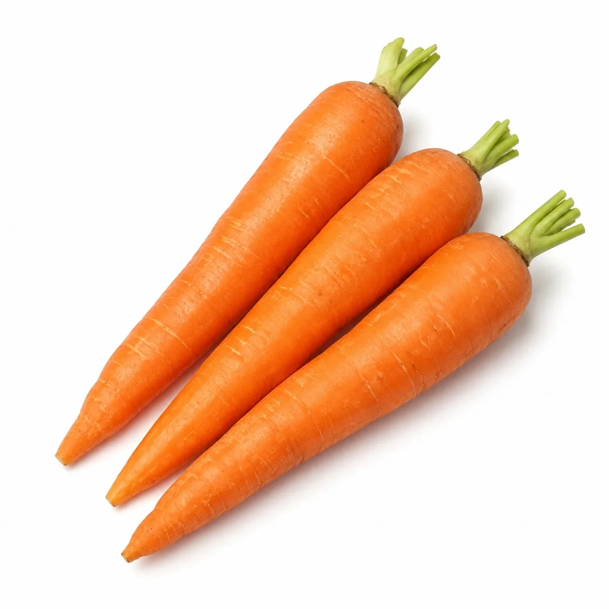 Morötter