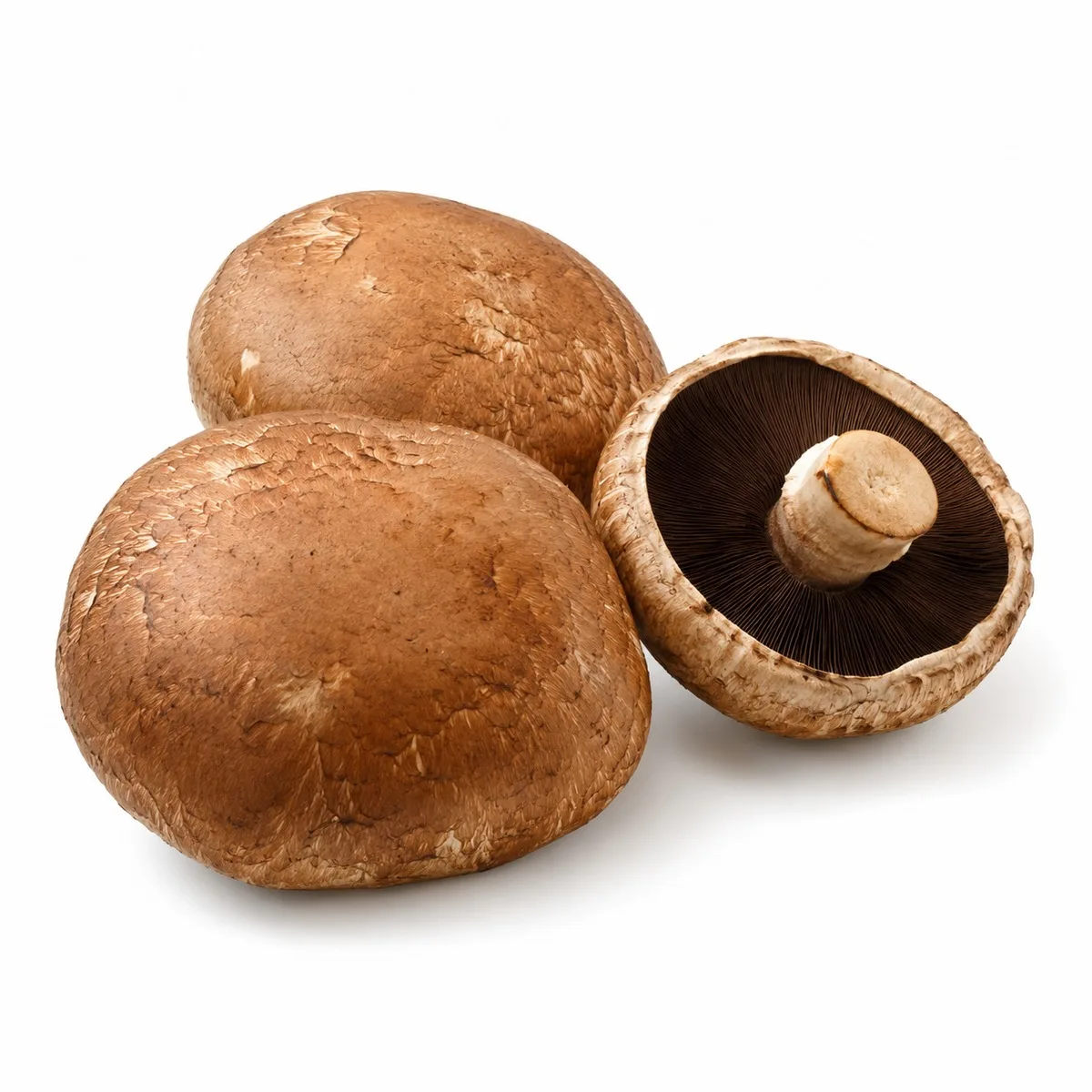 Portabello
